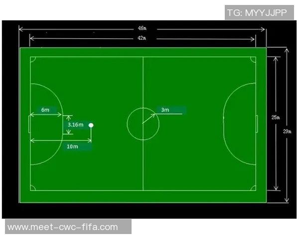 学校标准足球场尺寸及其对青少年体育发展的重要性分析